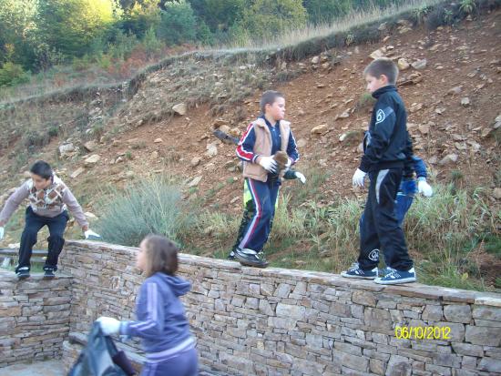 Picture 388